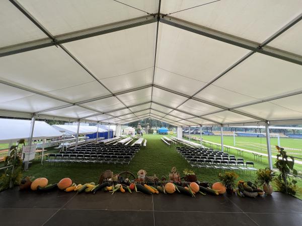 IMG0402e9f9da901001133953