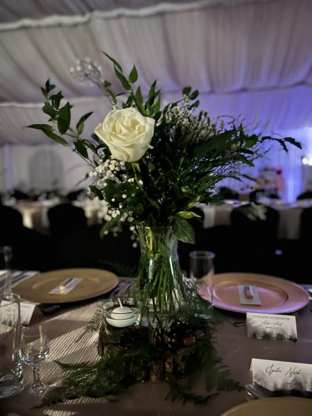 IMG011356849ec81012192159