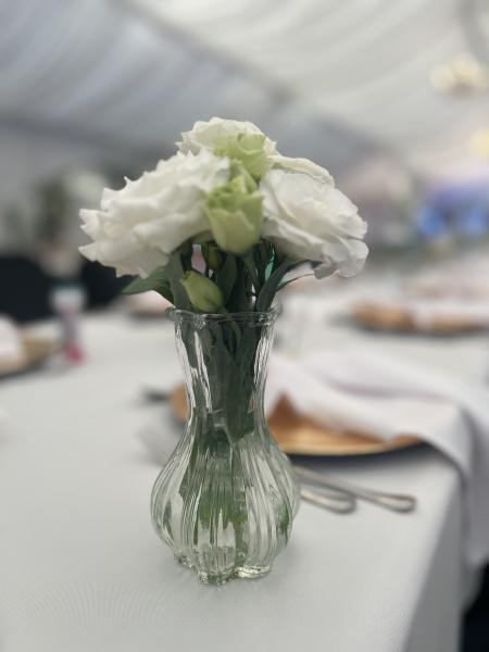 IMG02220d8296c91012193012