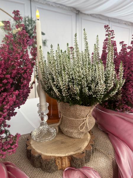 IMG0340905653aa1012193012