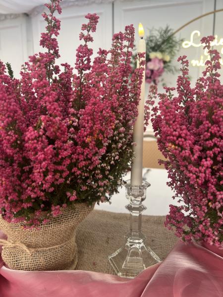 IMG03414fc261a91012193012