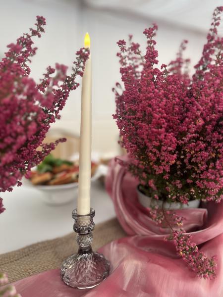 IMG03420b2d596e1012193012