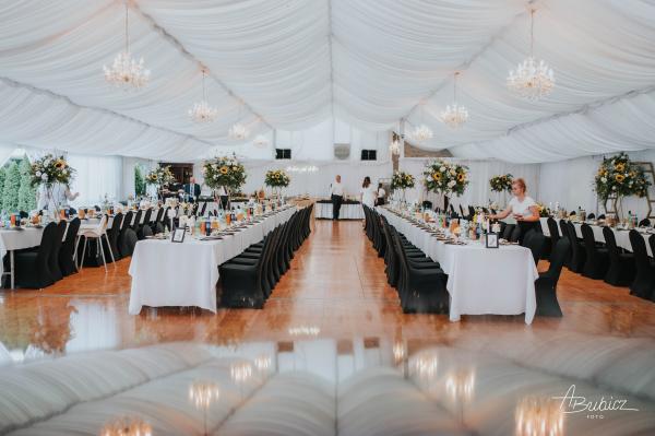 Bubicz-Foto-dla-Oli-i-Tomka-30466df86511023151504