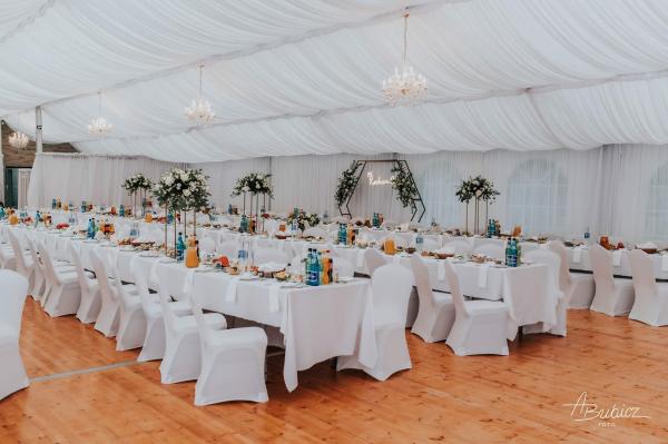 3126109836478646333421729099370761315056587nbd74d67b1023151504