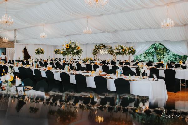 Bubicz-Foto-dla-Oli-i-Tomka-30527264fd11023151504