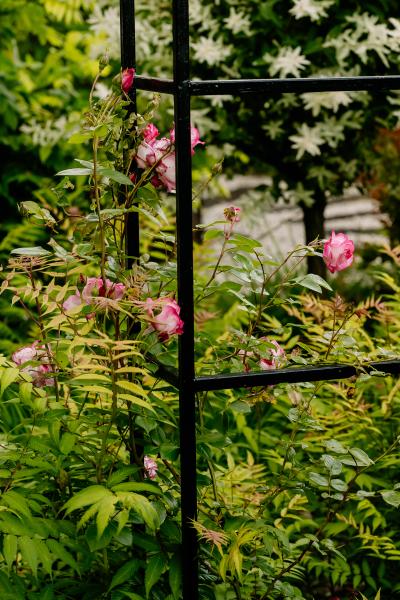 DSC97418ce9bbe01012195129