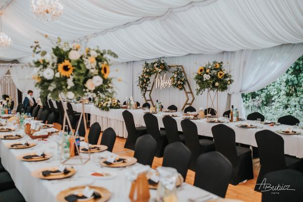 Bubicz-Foto-dla-Oli-i-Tomka-3079478a9c81023151504